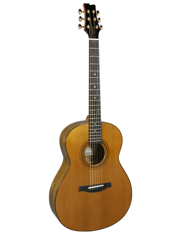 Lee Guitars OM-FS Ovangkol 이용한 기타 마이스터